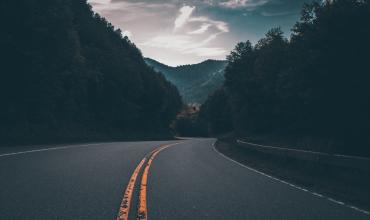 a road and trees 