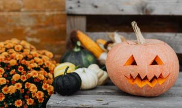 Pumpkins on a bench