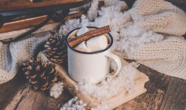 Hot cocoa on a book with pinecones and a blanket decorated around it