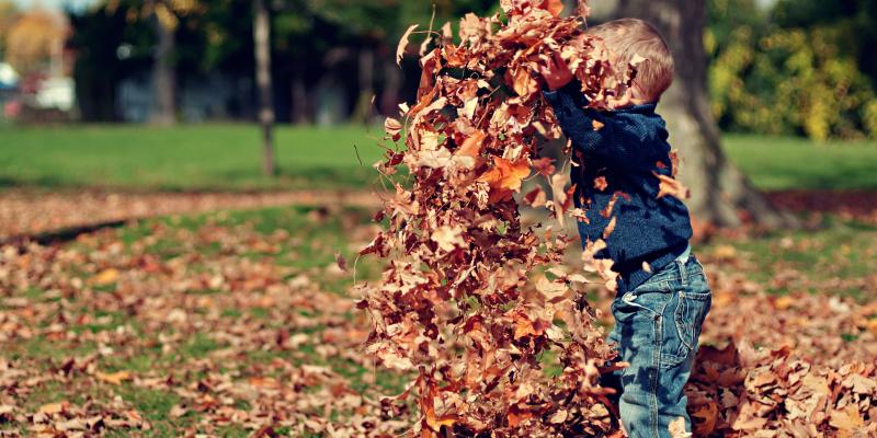 Home Buyer Mistakes and How to Avoid Them A child throwing a pile of fall leaves