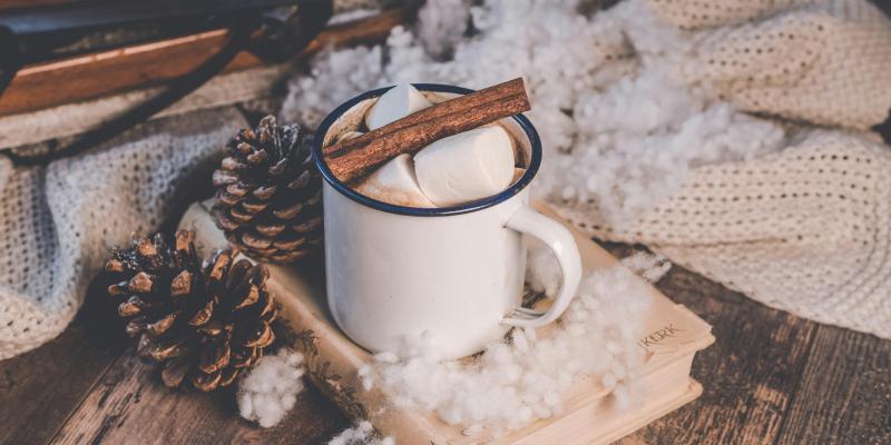 Hot cocoa on a book with pinecones and a blanket decorated around it